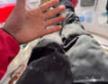 This is what Sam Davies' hands look like after almost 40 days at sea.