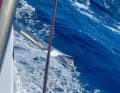 Das gebrochene Steuerbord-Foil bei Isabelle Josche.