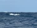 C'est ainsi qu'Eric Bellion a vu l'iceberg depuis le bord du "Stand as one - Altavia".