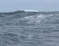 Un iceberg photographié à bord du "MS Amlin".