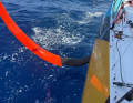 ... and here Boris Herrmann has already succeeded in pushing it far into the boat.