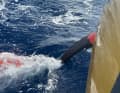 Il "Malizia - Seaexplorer" senza ali.