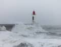 Tough conditions for the skippers who crossed the finish line on Sunday and are still to come...