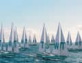 The vision: an entire fleet of cargo ships to transport goods across the ocean