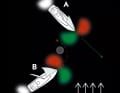 If both have the wind from the same side, the windward sailing boat gives way. B sees the green light from A, A sees the red light from B