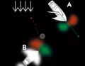 If a sailing boat and a motorboat meet, the motorboat gives way. A sees red and white light from B, B sees green light from A