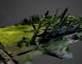 Il relitto può essere visualizzato come modello 3D.
