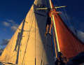 Thies Matzen, Skipper und Eigner seit 1982, im Rigg seiner „Wanderer III“