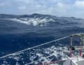 Der Indische Ozean zeigte sich wechselhaft: von ruppig mit Welle und starken Böen bis sanft mit Flaute.