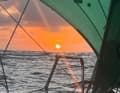Noch schieben die Passatwinde die Globe 580-Flotte gen Westen. Das könnte sich bald ändern.