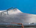 The carbon mast can be swivelled, allowing the profile depth in the mainsail to be adjusted