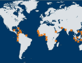 Central America, large areas of the west and east coasts of Africa and Southeast Asia are dangerous regions according to the IMB