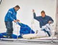 The sail should be hoisted with great care and according to the four-eyes principle