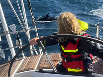 Schon wieder Norweger von Orcas angegriffen – Rettung von Delphinen?