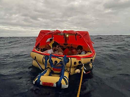 Yacht sinkt nach Wal-Kollision in 18 Minuten