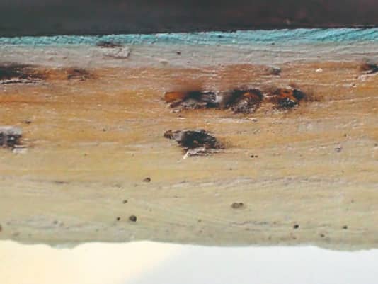 Was ist Osmose bei Segelyachten, wie entsteht sie?