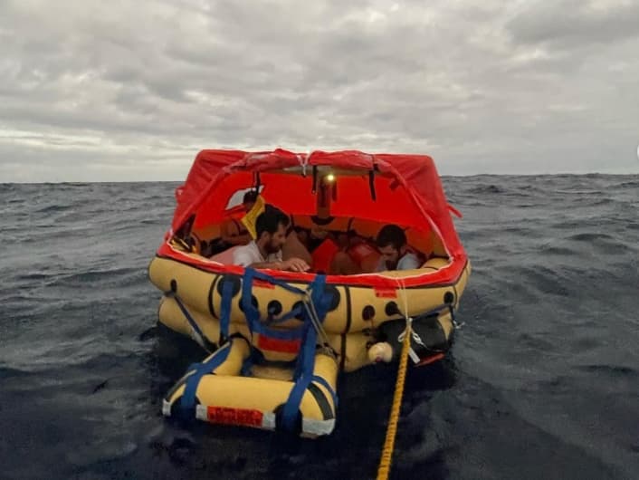 Yacht sinkt nach Wal-Kollision in 18 Minuten