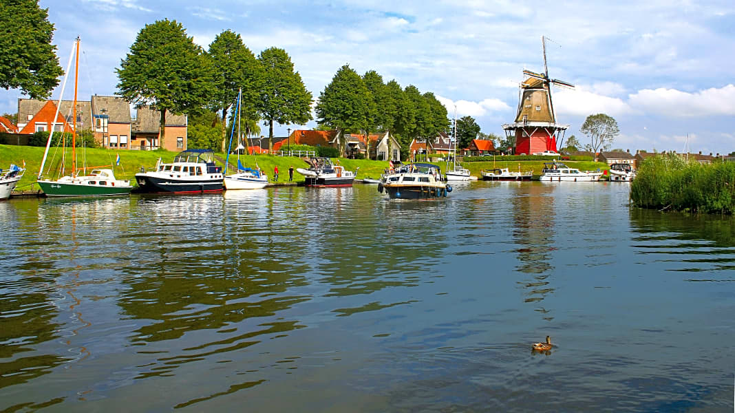 Niederlande: Friesland im Reviercheck