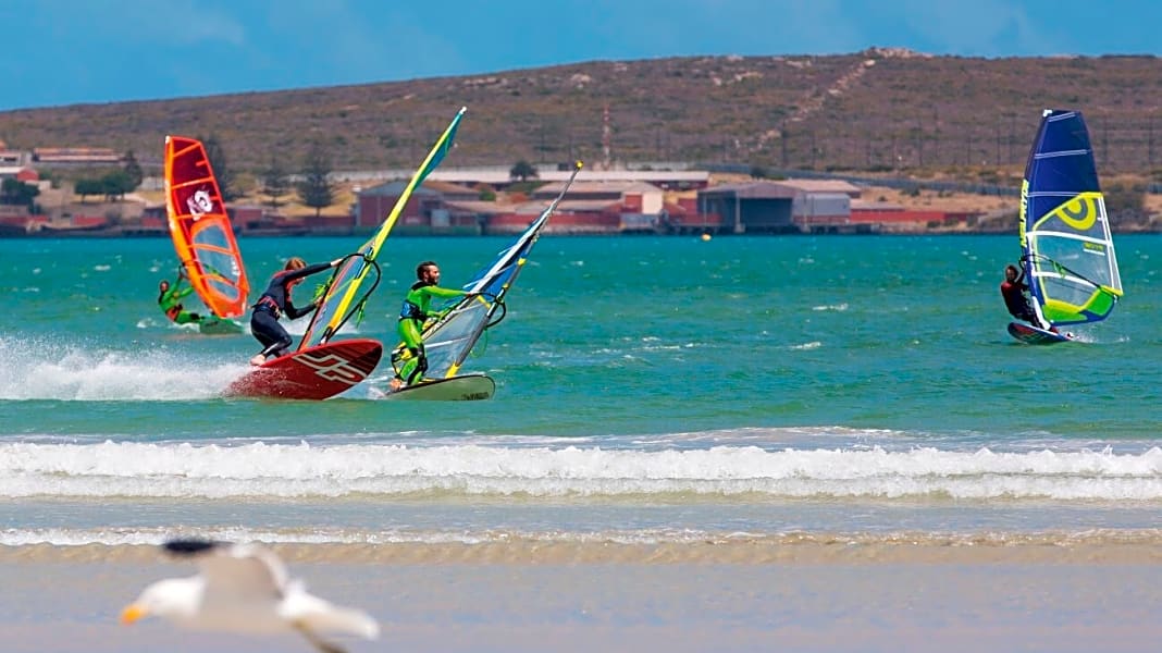 Windsurf Segel Guide – so findest du das richtige Segel zum Windsurfen