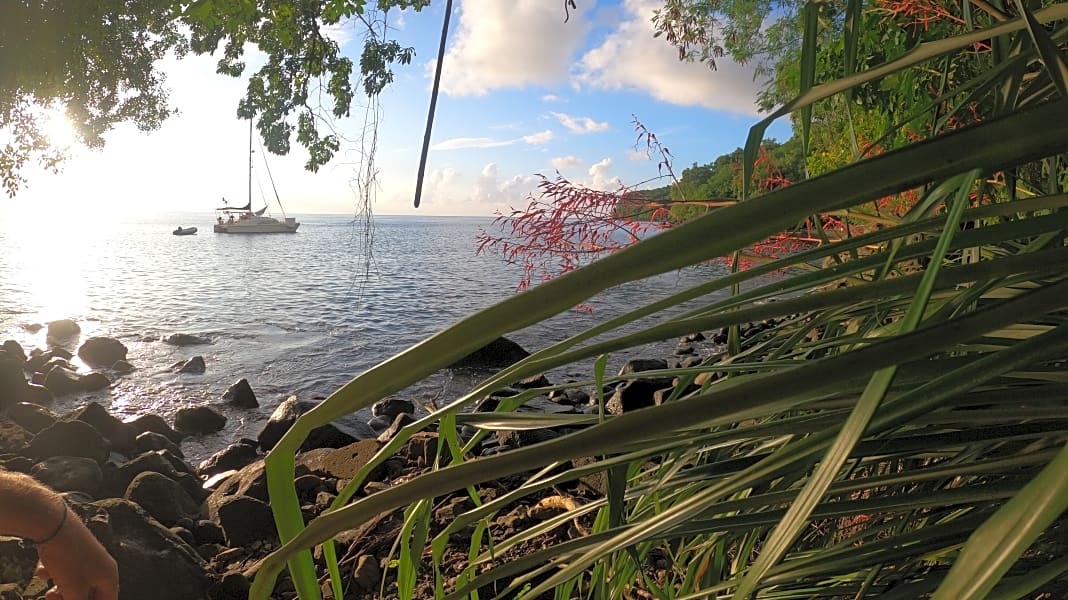 Blauwasser-Blog: Ein Jahr Karibik: Sonnen- und Schattenseiten eines Segelparadieses