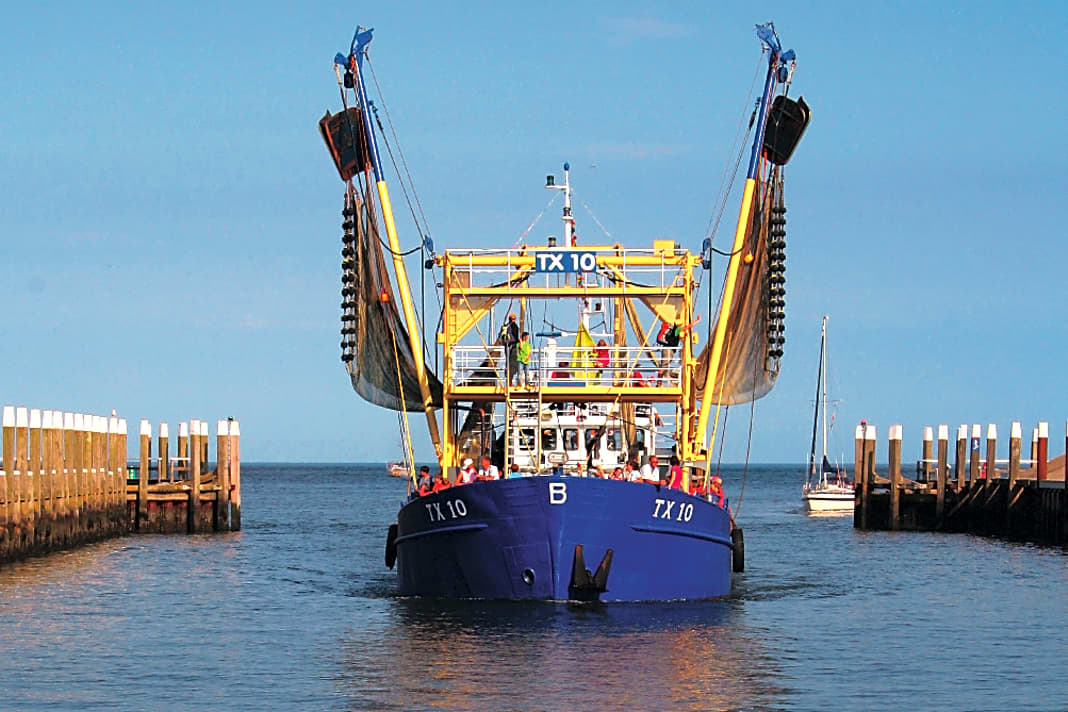 Oudeschild: Eine zünftige Kutterfahrt inklusive Garnelenfischen gehört zu den Höhepunkten eines Texel-Urlaubs.