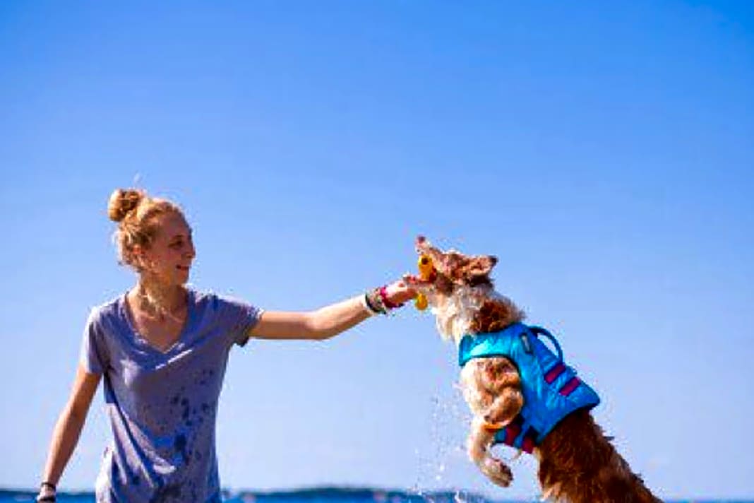 1. Schwimmweste 

 Hunde-Schwimmwesten gibt es auch in Neonfarben, damit besonders kleine Hunde zwischen den Wellen noch gut zu sehen sind. Meistens sind sie mit einem Griff auf dem Rücken der Tiere versehen, um sie unkompliziert festhalten oder an Bord hieven zu können.

  