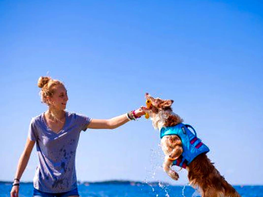 1. Schwimmweste 

 Hunde-Schwimmwesten gibt es auch in Neonfarben, damit besonders kleine Hunde zwischen den Wellen noch gut zu sehen sind. Meistens sind sie mit einem Griff auf dem Rücken der Tiere versehen, um sie unkompliziert festhalten oder an Bord hieven zu können.

  