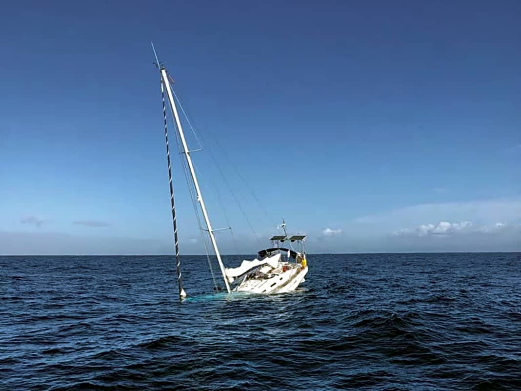 Segelyacht sinkt nach Orca-Angriff vor Portugal