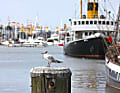 Bremerhaven: Dampfeisbrecher „Wal“ im Neuen Hafen