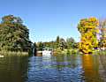 Lychener Gewässer: Lychener Stadtsee
