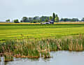 Typisches Bild im vom Wasser durchzogenen Friesland