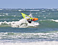 JP-Australia Magic Wave Pro 82 im surf-Test