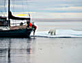 2013 durchquert „La Belle Époque“ die Nordwestpassage, die Crew überwintert anschließend in Alaska. Dabei gibt es gelegentlich Besuch eines Eisbären