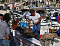 Fischer verkaufen den Fang direkt vom Boot 