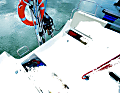 Bild 5 Bild 5