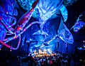 Ozeaneum, Stralsund