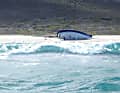 Gestrandet: Die 12 Meter lange "Huntress" musste nach einem Ruderbruch beim Sydney Hobart Race aufgegeben werden und strandete eine Woche später