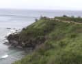 Der Vorfall ereignete sich in der Honolua Bay vor der Insel Maui