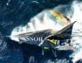 Bei der Ven­dée Globe 2017/18 segelte Alex Thompson in 24 Stunden 539,53 Seemeilen. Die Imoca-Klasse verzeichnete nun einen inoffiziellen neuen Rekord beim Ocean Race mit 558 Seemeilen