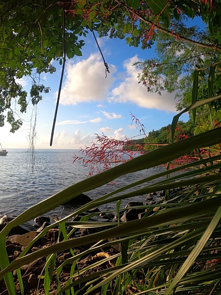 Ein Jahr Karibik: Sonnen- und Schattenseiten eines Segelparadieses
