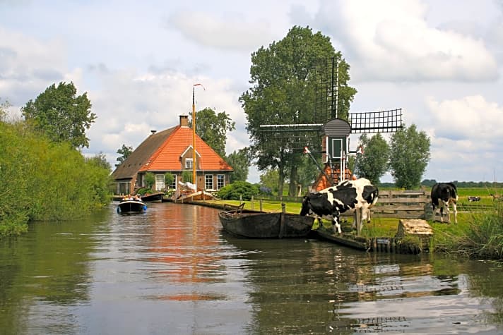   Friesland: 