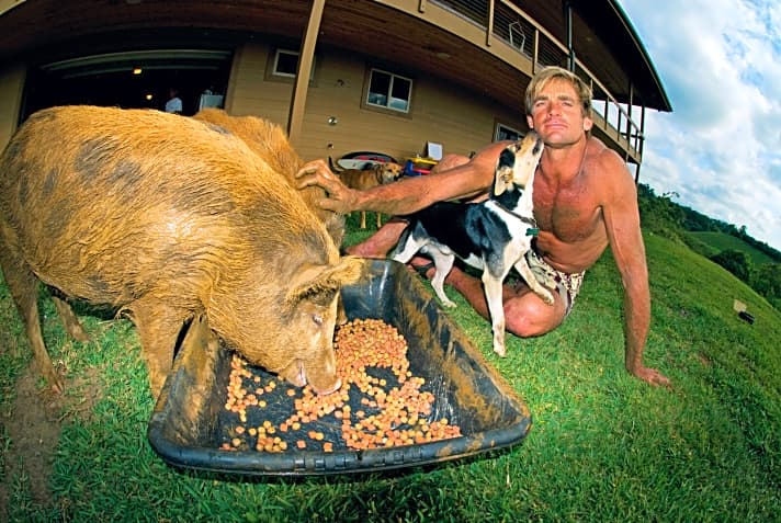   Laird Hamilton hält zahme Wildschweine auf seinem Gut auf Kauai, Hawaii.