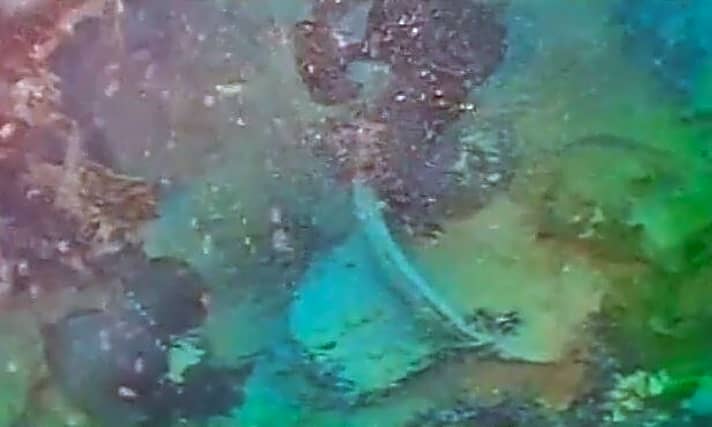   Unterwasseraufnahmen der "HMS Terror": Die Schiffsglocke ist darauf zu sehen