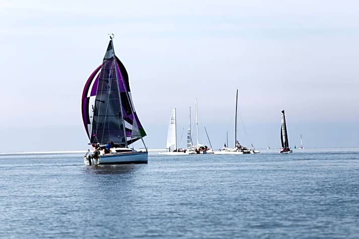   An der Küste ein populäres Boot - hier unter Spi bei der Spiekerooger Seesterngedächtnis-Regatta 2015