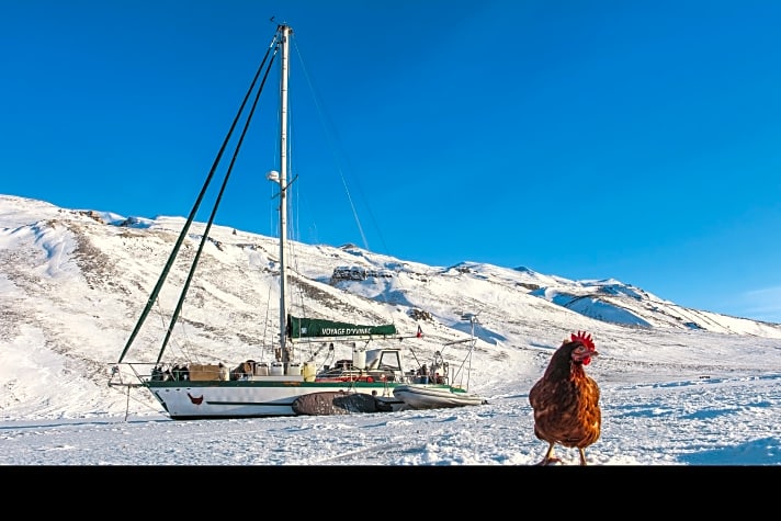   Für 130 Tage friert die „Yvinec“ bei Grönland ein. Monique erkundet das ungewohnte Terrain