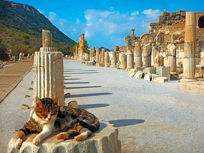   Die türkische Ägäisküste ist wie hier in Ephesos überreich an Zeugnissen aus der Antike