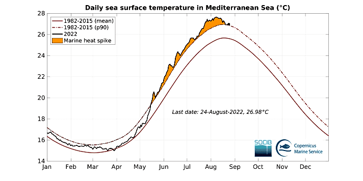 Die Messungen der Wassertemperaturen zeigen, dass auch die kurzfristigen Temperaturextreme stark ansteigen | Grafik: SOCIB/Copernicus Marine Service