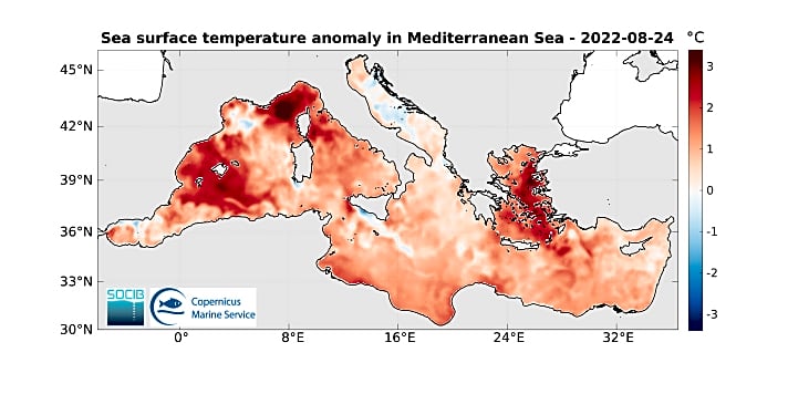 Die Karte zeigt, dass große Areale des Mittelmeeres teils bis zu drei Grad über dem langjährigen Durchschnittstemperaturen liegen | Grafik SOCIB/Copernicus Marine Service