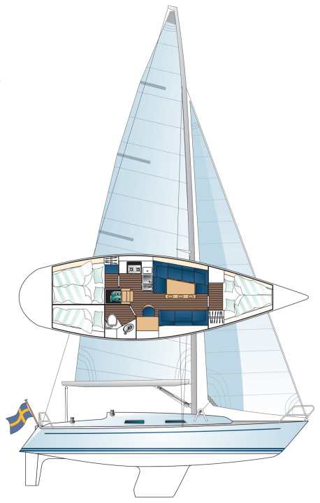 Déchirure de l'oméga 36