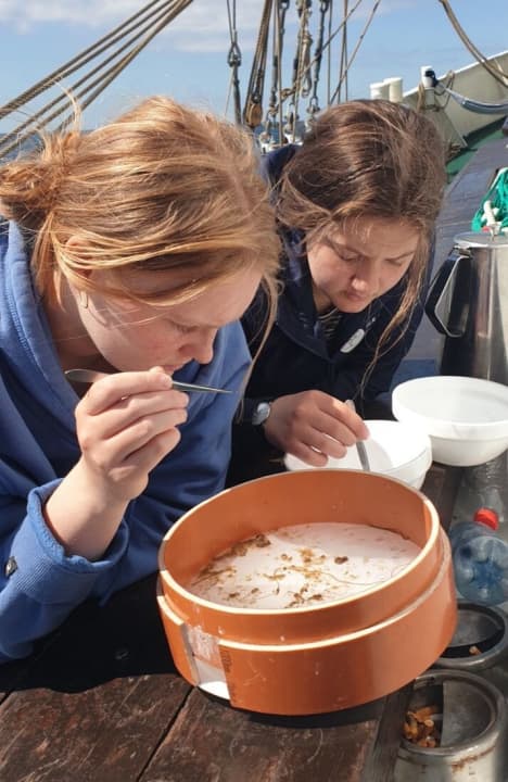   L'analisi dei campioni di particelle ha rivelato la presenza di microplastiche ovunque